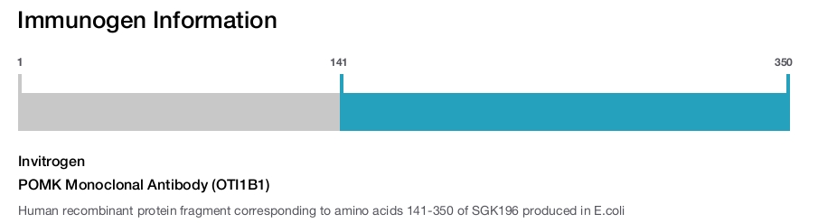 POMK Monoclonal Antibody (OTI1B1)