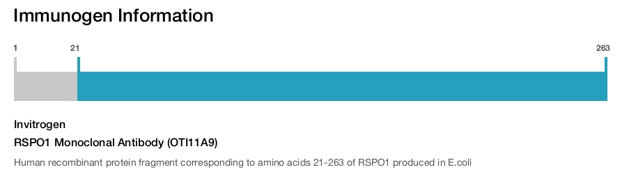 RSPO1 Monoclonal Antibody (OTI11A9)