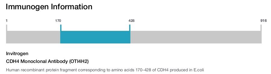 CDH4 Monoclonal Antibody (OTI4H2)
