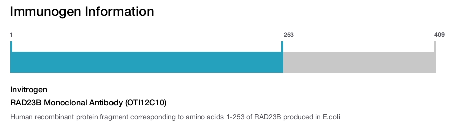 RAD23B Monoclonal Antibody (OTI12C10)