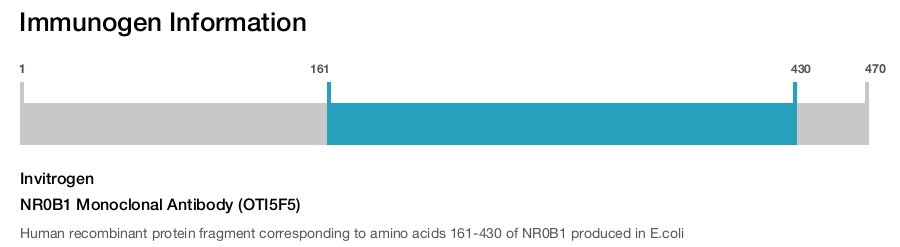 NR0B1 Monoclonal Antibody (OTI5F5)