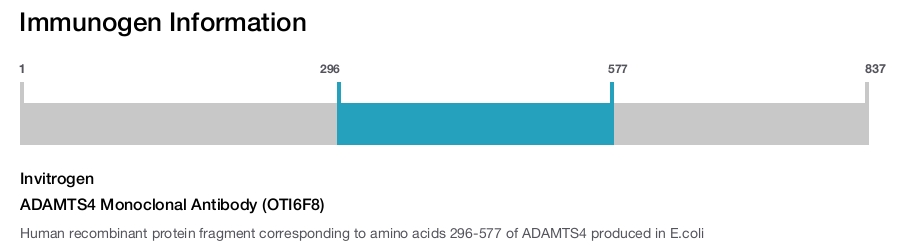ADAMTS4 Monoclonal Antibody (OTI6F8)