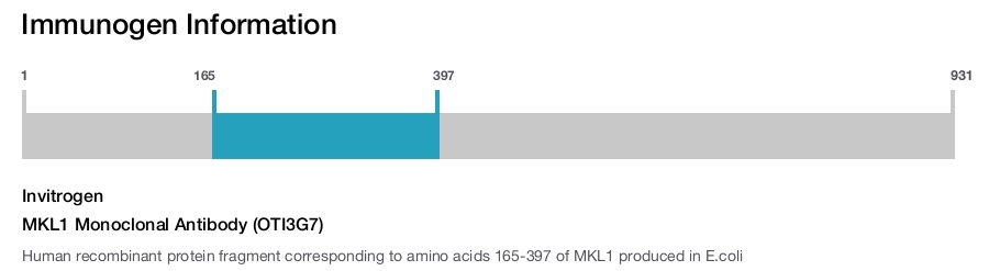 MKL1 Monoclonal Antibody (OTI3G7)