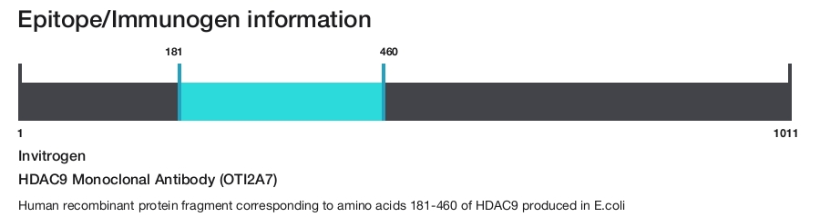 HDAC9 Monoclonal Antibody (OTI2A7)