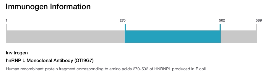 hnRNP L Monoclonal Antibody (OTI9G7)