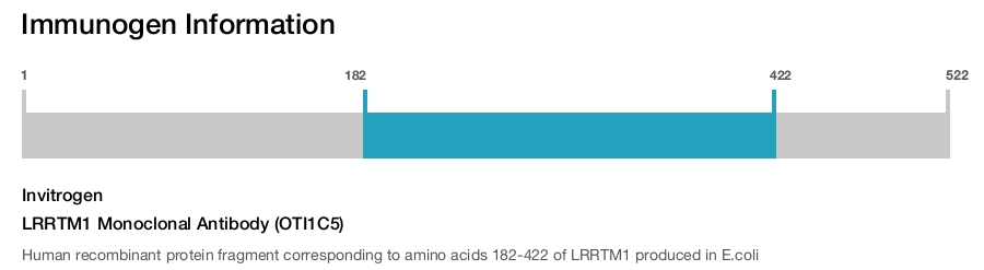 LRRTM1 Monoclonal Antibody (OTI1C5)