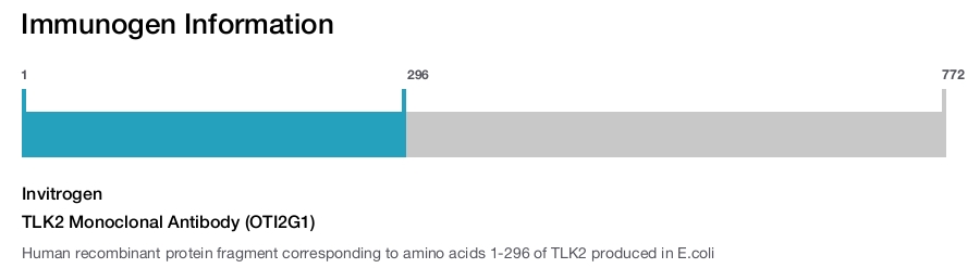 TLK2 Monoclonal Antibody (OTI2G1)
