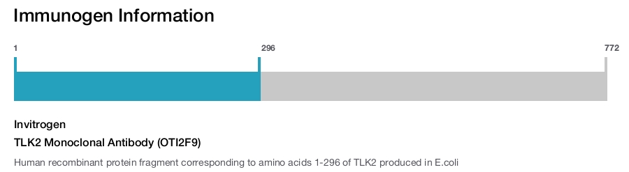 TLK2 Monoclonal Antibody (OTI2F9)