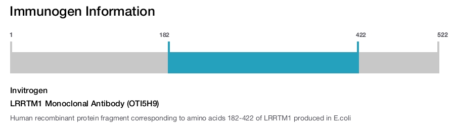 LRRTM1 Monoclonal Antibody (OTI5H9)
