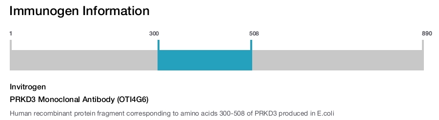 PRKD3 Monoclonal Antibody (OTI4G6)