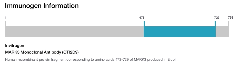 MARK3 Monoclonal Antibody (OTI2D9)