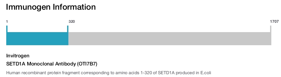 SETD1A Monoclonal Antibody (OTI7B7)