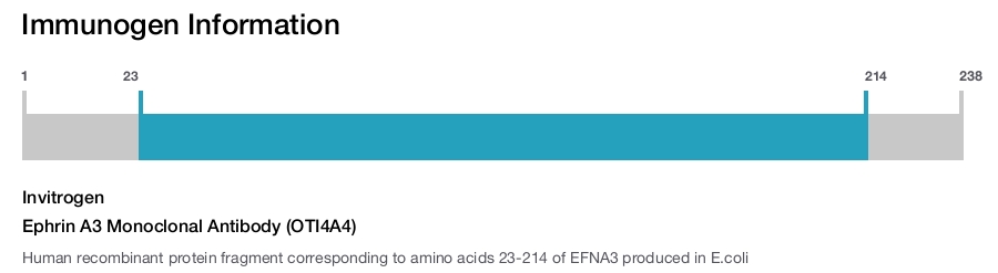 Ephrin A3 Monoclonal Antibody (OTI4A4)