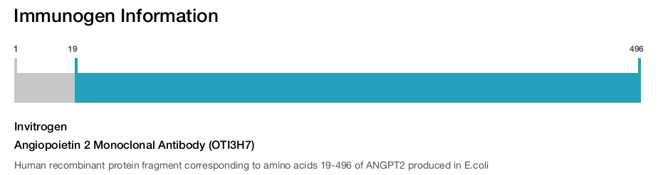 Angiopoietin 2 Monoclonal Antibody (OTI3H7)