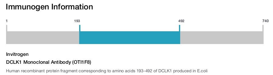 DCLK1 Monoclonal Antibody (OTI1F8)