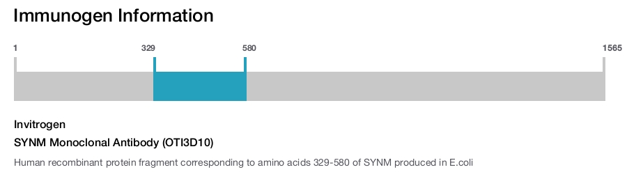 SYNM Monoclonal Antibody (OTI3D10)