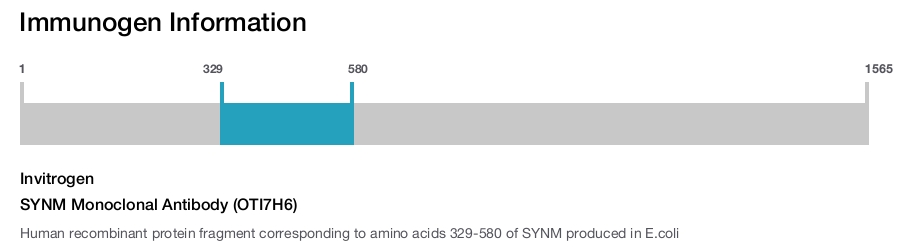 SYNM Monoclonal Antibody (OTI7H6)