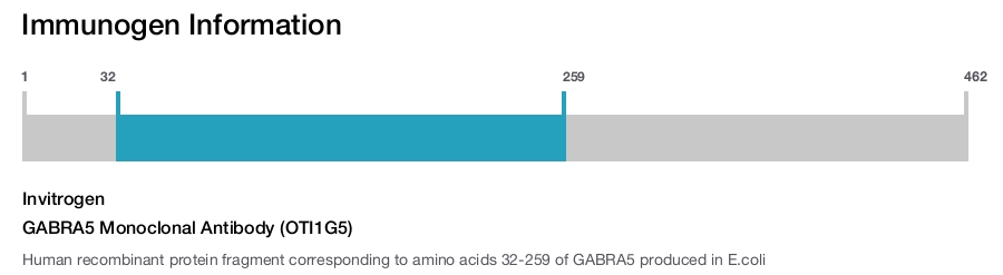 GABRA5 Monoclonal Antibody (OTI1G5)