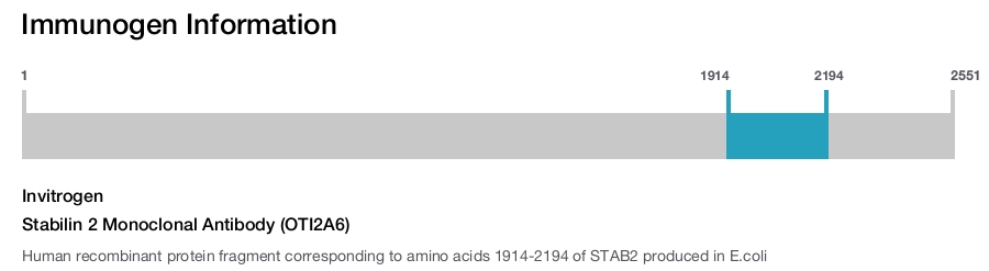Stabilin 2 Monoclonal Antibody (OTI2A6)