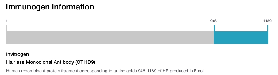 Hairless Monoclonal Antibody (OTI1D9)