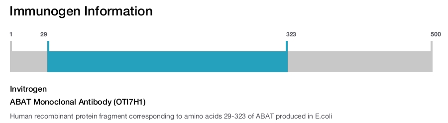 ABAT Monoclonal Antibody (OTI7H1)