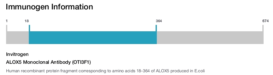 ALOX5 Monoclonal Antibody (OTI3F1)