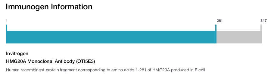 HMG20A Monoclonal Antibody (OTI5E3)