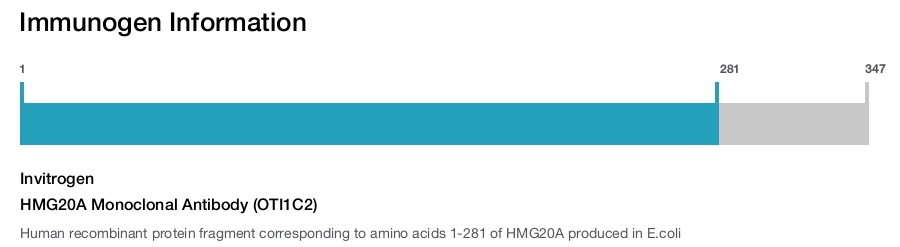 HMG20A Monoclonal Antibody (OTI1C2)