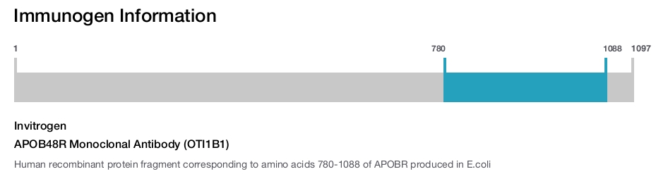APOB48R Monoclonal Antibody (OTI1B1)