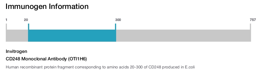 CD248 Monoclonal Antibody (OTI1H6)