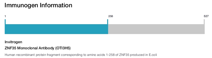 ZNF35 Monoclonal Antibody (OTI3H5)