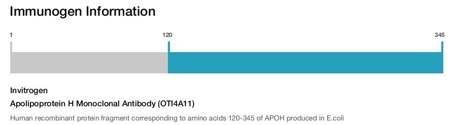 Apolipoprotein H Monoclonal Antibody (OTI4A11)