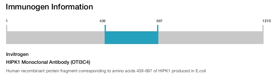 HIPK1 Monoclonal Antibody (OTI3C4)