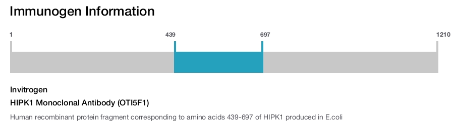 HIPK1 Monoclonal Antibody (OTI5F1)