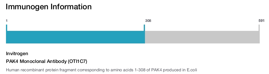 PAK4 Monoclonal Antibody (OTI1C7)