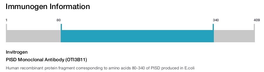 PISD Monoclonal Antibody (OTI3B11)