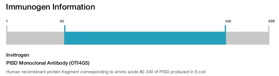 PISD Monoclonal Antibody (OTI4G5)