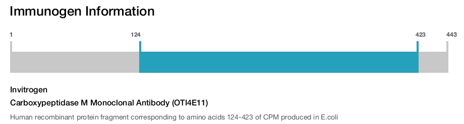 Carboxypeptidase M Monoclonal Antibody (OTI4E11)
