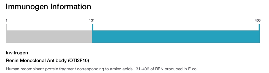 Renin Monoclonal Antibody (OTI2F10)