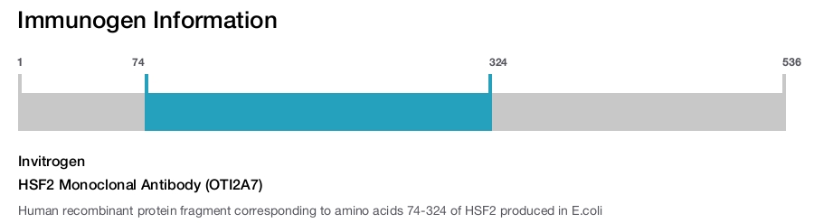 HSF2 Monoclonal Antibody (OTI2A7)