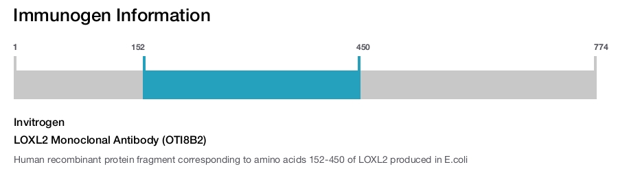 LOXL2 Monoclonal Antibody (OTI8B2)