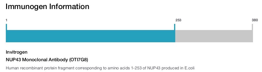 NUP43 Monoclonal Antibody (OTI7G8)