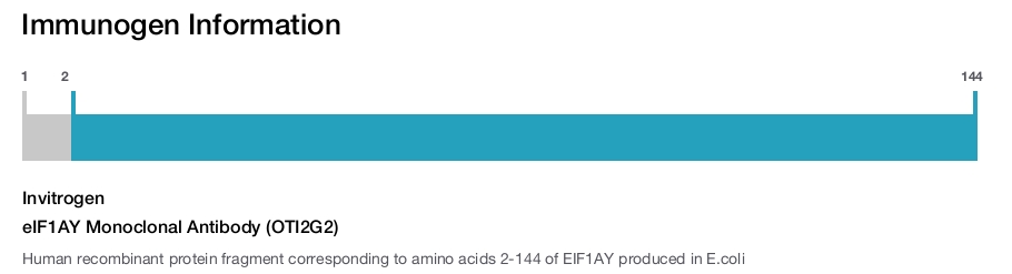 eIF1AY Monoclonal Antibody (OTI2G2)