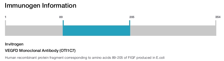 VEGFD Monoclonal Antibody (OTI1C7)