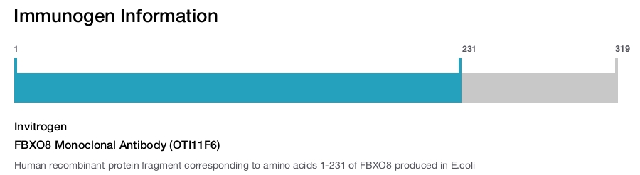 FBXO8 Monoclonal Antibody (OTI11F6)