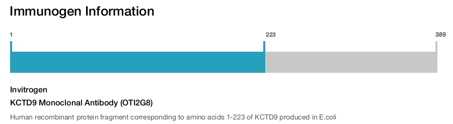 KCTD9 Monoclonal Antibody (OTI2G8)