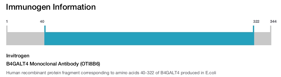 B4GALT4 Monoclonal Antibody (OTI8B6)