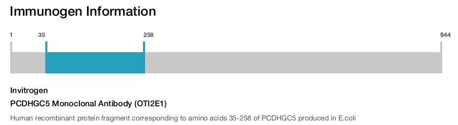 PCDHGC5 Monoclonal Antibody (OTI2E1)