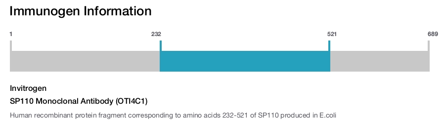 SP110 Monoclonal Antibody (OTI4C1)