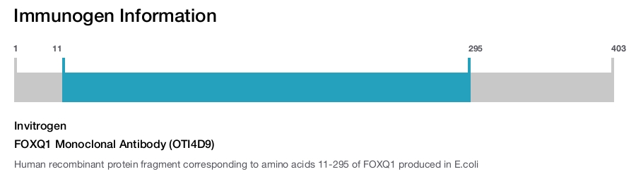 FOXQ1 Monoclonal Antibody (OTI4D9)
